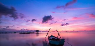 Jaki kolor żyłki na spinning?