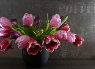 Jaka sprężyna do Specna Arms?