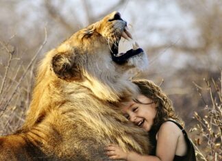 Jaka wędka jest najlepsza?