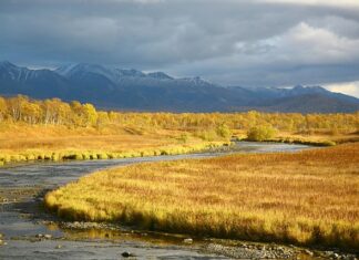 Jak wiele Dołków jest na torze golfowym?