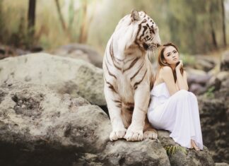 Co jest bardziej niebezpieczne grzmot czy błysk?