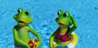 Jaki styl pływania na początek?