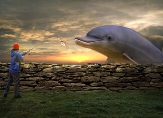 Jaką grubość żyłki na bolenia?