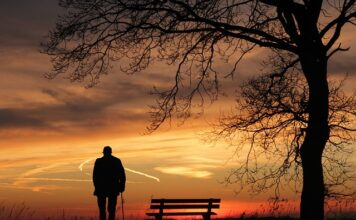Czy na polu namiotowym obowiązuje cisza nocna?