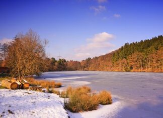 W jakiej temperaturze zamarza plecionka?