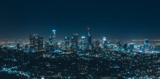 Jaka firma Wedek jest najlepsza?