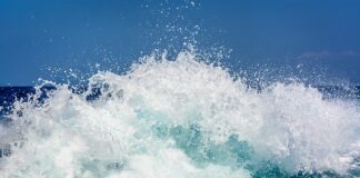 Czy można rozbić namiot na dziko?