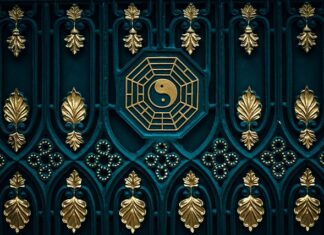 Czy kocia karma zaszkodzi psu?