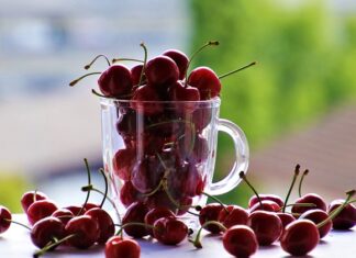 Jakie ptaki zjadają czereśnie? Jakie ptaki zjadają czereśnie?
