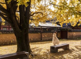 Co jest zakazane przy cukrzycy? Co jest zakazane przy cukrzycy?