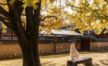 Co jest zakazane przy cukrzycy?