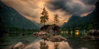 Jak kleić skały do akwarium?