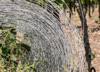 Jak odgrodzić się od sąsiada na tarasie?