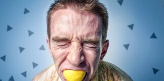 Jak wybrać smycz automatyczna?