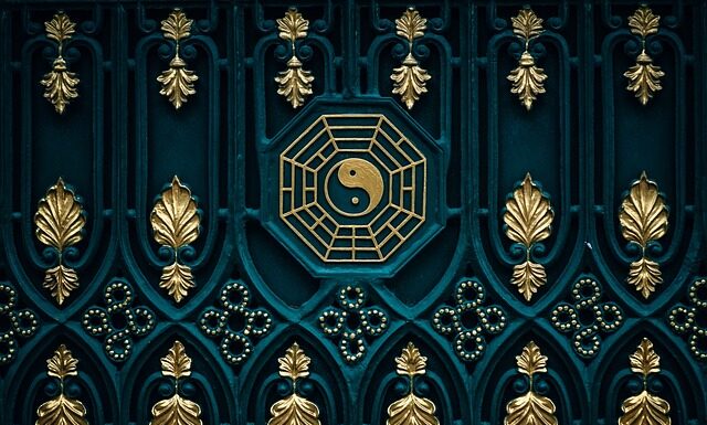 Czy kot może jeść psia mokra karmę?