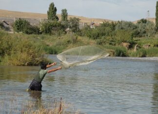 Jak zamontować siatkę na ptaki? Jak zamontować siatkę na ptaki?